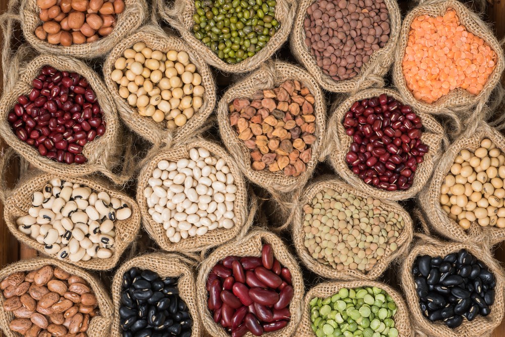 Representative Legumes & Pulses range